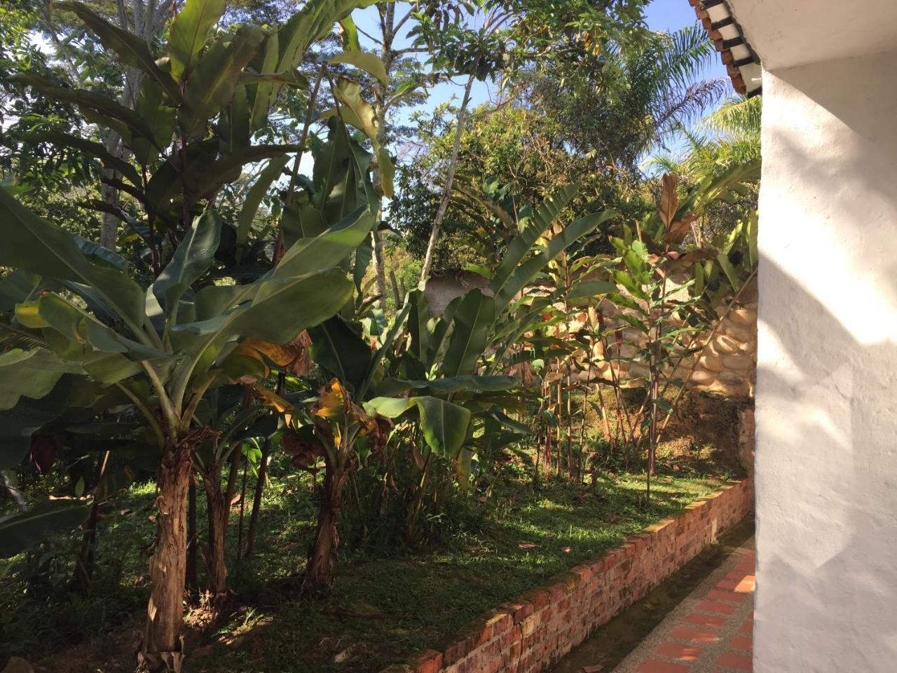 Hotel Casona Las Juanas San José de Pare 외부 사진