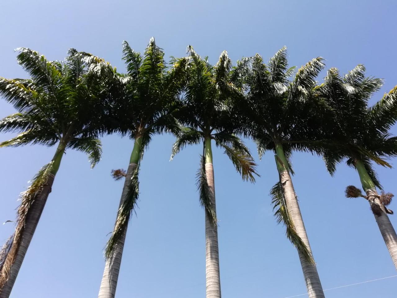 Hotel Casona Las Juanas San José de Pare 외부 사진